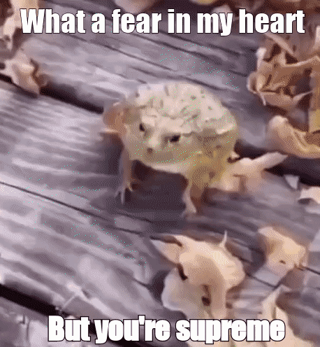Supreme Frog Leaping Fail GIF