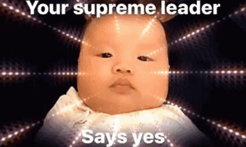 Supreme Leader Cute Baby Say Yes Meme GIF