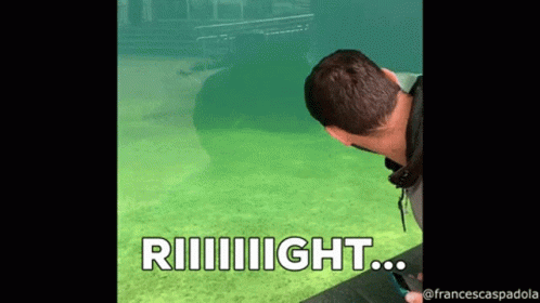 Sure Jan That's Right GIF