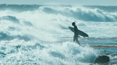 Surfer Surfing Hawaii Wave GIF