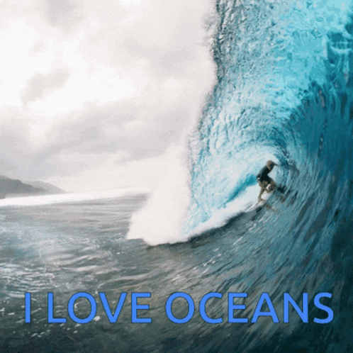 Surfer Surfing Wave I Love Oceans GIF