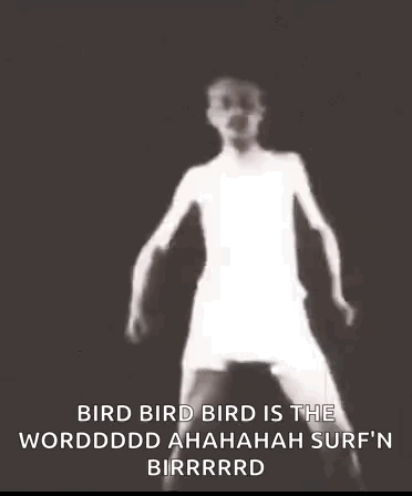 Surfin Bird The Word Is Uta Bar