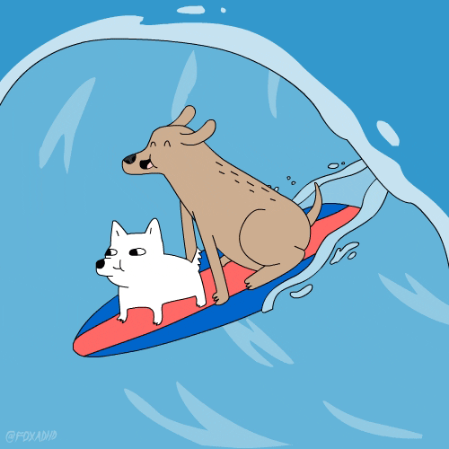 Surfing Dog And Cat GIF