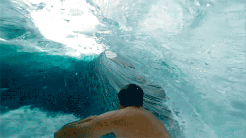 Surfing In The Ocean GIF