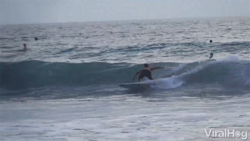 Surfing Surfer Crash Wave GIF