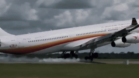Suriname Airplane Landing GIF