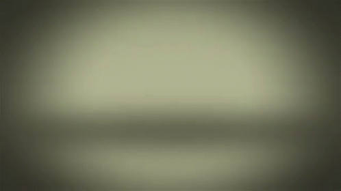 Suriname Bekendt Paramaribo GIF