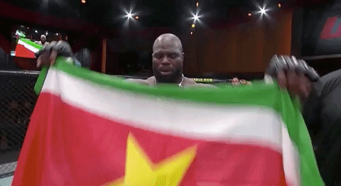 Suriname Jairzinho Rozenstruik Flag GIF