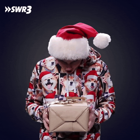Surprise Gift Merry Christmas Meme GIF