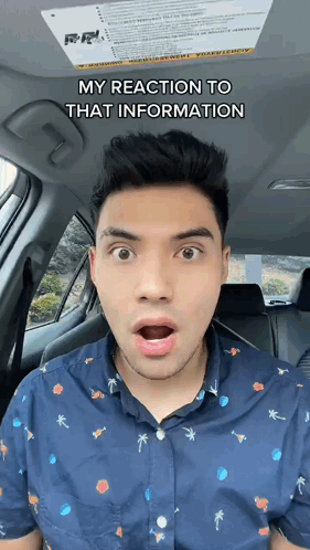 Surprise Information Surprise Meme GIF