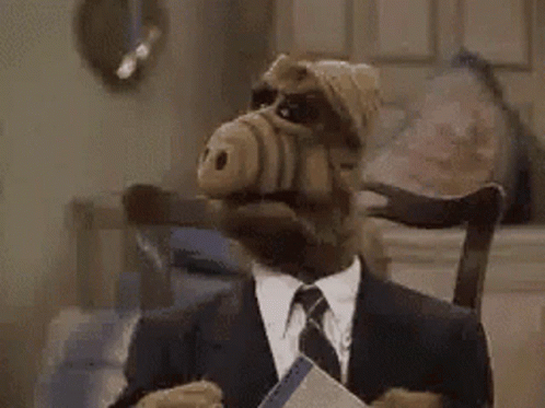 Surprised Alf Wearing Suit GIF