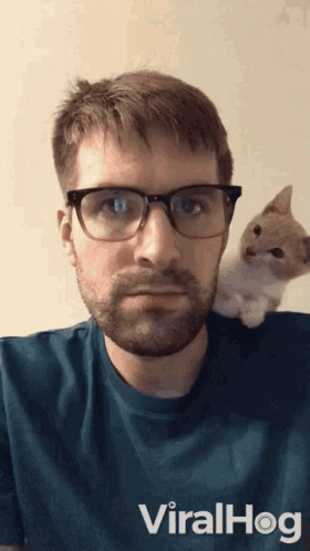 Surprised Cartoon Cat