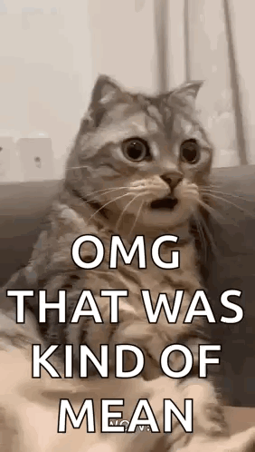 Surprised Cat Sitting on Couch