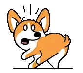 Surprised Dog Standing on Hind Legs