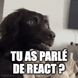 Surprised Dog Tu As Parle De React ?