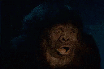 Surprised Gorilla GIF