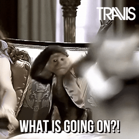 Surprised Reaction Of Monkey Meme GIF