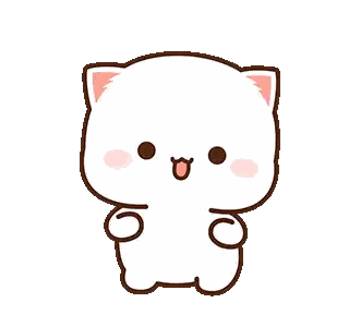 Surprised White Cat