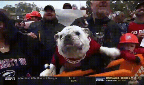 Surprised Woman Saying Woof Woof Woof
