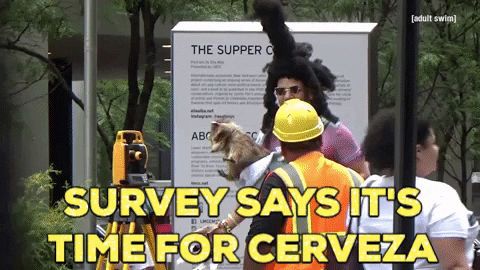 Surveys Says It's Time For Cervezs GIF