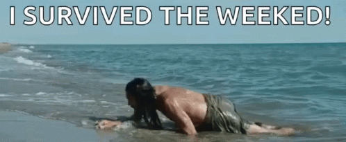 Survived The Weekend Ben Hur Movie GIF