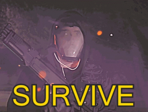 Survive Call Of Duty War Zone GIF