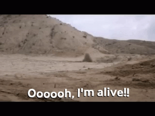 Surviving In The Desert Im Alive GIF