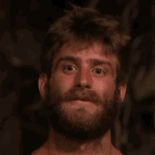 Survivor Roko Šimić Bearded Pretends To Be Shocked GIF