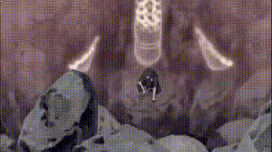 Susanoo In Skeletal Form GIF