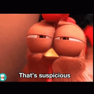 Suspicious Chicken Close Up