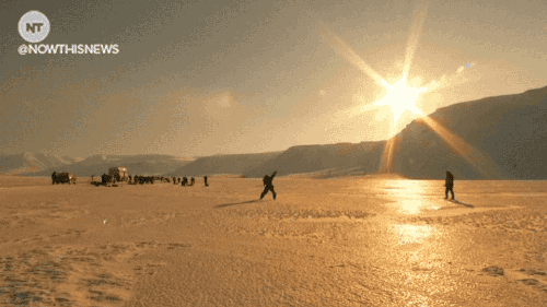 Svalbard Happy Solar Eclipse GIF