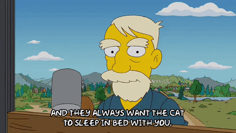 Sven Building Fence The Simpsons GIF