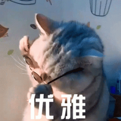 Swag Boss Cat GIF