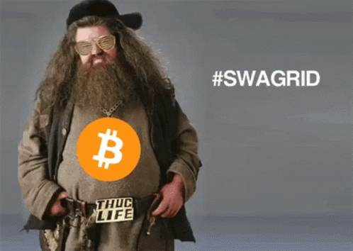 Swag Style Rubeus Hagrid GIF