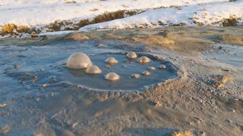 Swamp Releases Small Bubbles GIF