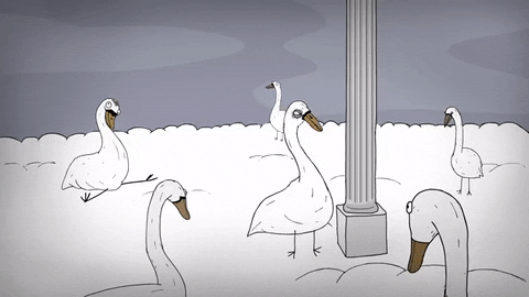 Swan Bangs Head Against Wall Mobile Sketch GIF