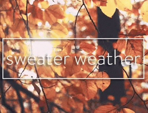 Sweater Weather Animation Leaves GIF