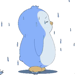 Sweating Penguin Standing in Rain