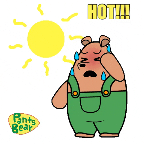 Sweaty Pants Bear Under The Sun GIF