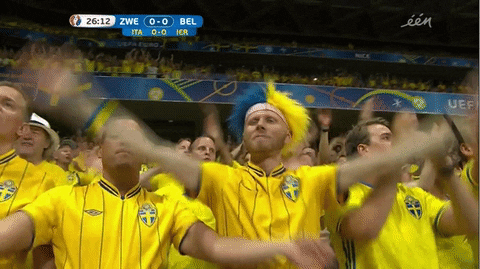 Sweden Crowd Fans Cheering GIF