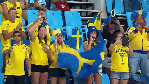 Sweden Football Fans Cheering GIF