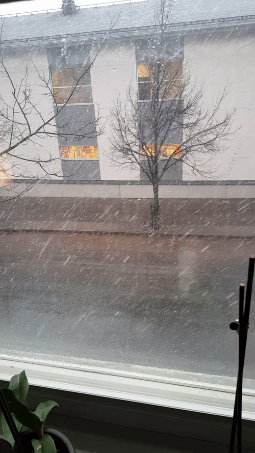 Sweden Heavy Snowstorm GIF