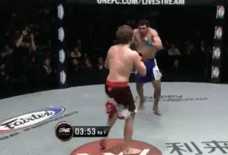 Sweep The Leg Ben Askren GIF