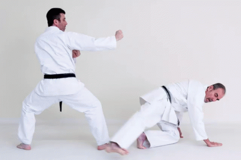 Sweep The Leg Two Men Doing Karate GIF
