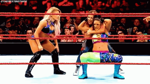 Sweep The Leg Women Wrestling Wwe GIF