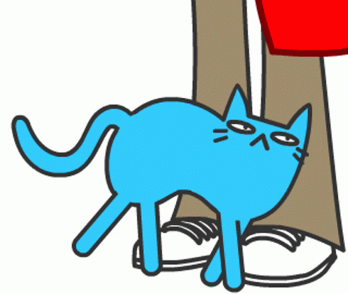 Sweet Blue Cat Asking Fir Affection GIF