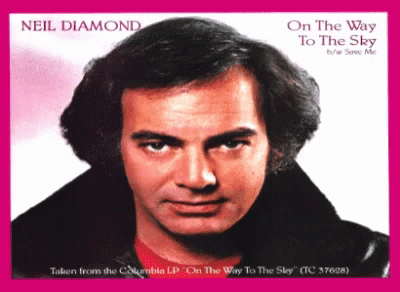 Sweet Caroline On The Way To Sky GIF