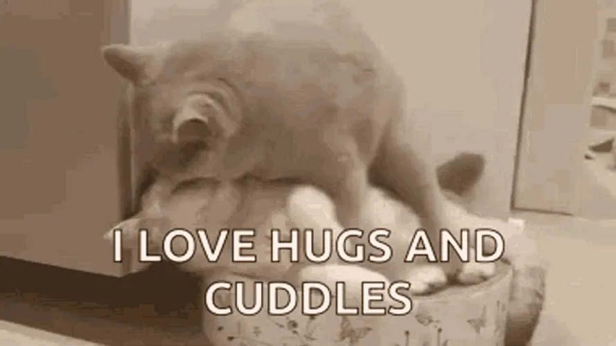 Cuddling