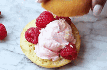Sweet Cranberry Sandwich GIF