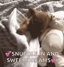 Sweet Dog And Bunny Toy GIF